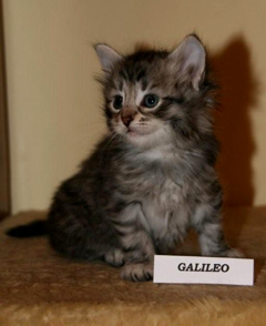 Galileo